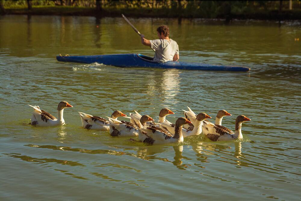 Pousada Pantanal Rancho Do Nabileque Otel Bonito  Dış mekan fotoğraf